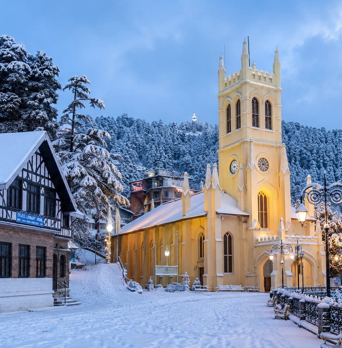 Shimla office